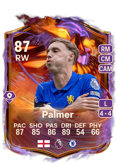 Palmer 87 RW