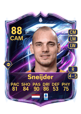 Sneijder 88 Hero